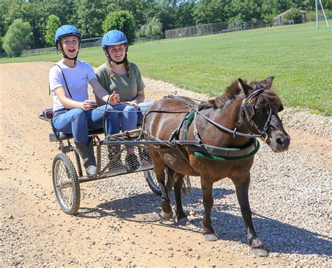 Miniature Horse Cart Driving & Riding Camp - CedarS Camps