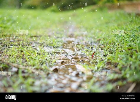 Water splash in nature after rain Stock Photo - Alamy