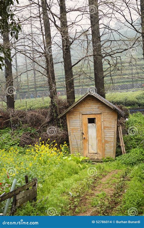 Little Hut in the Tea Garden Stock Photo - Image of rural, nature: 52786014