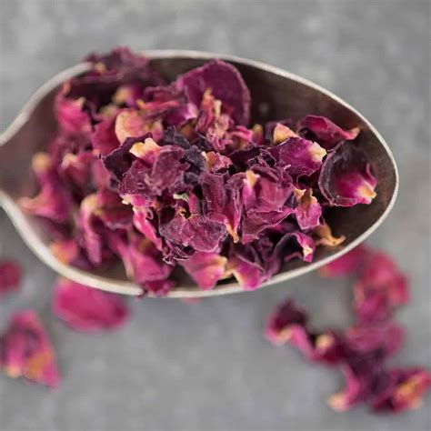 Rose Tea Benefits: Floral & Healthy - Brewed Leaf Love