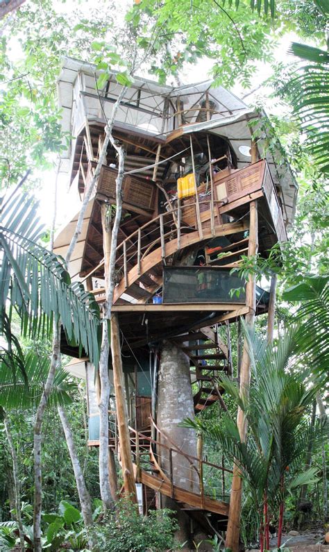 NEW! Treehouse — Osa Rainforest Rentals | Cool tree houses, Tree house ...