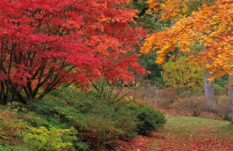 Exbury Gardens and Steam Railway | Gardens Of The World | GardensOnline