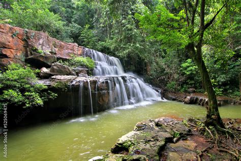 beautiful waterfall in green forest Stock Photo | Adobe Stock