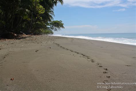 Costa Rica's Best Beaches are on the Osa Peninsula | Stay Adventurous | Mindset for Travel Blog