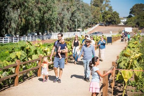 Farm Tours - Coastal Roots Farm