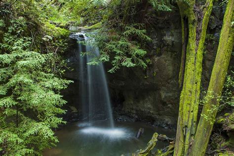 Sempervirens Falls, Big Basin Redwoods State Park California Travel ...