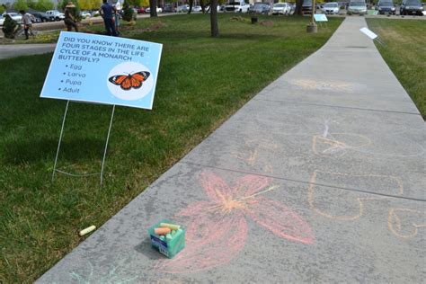 American Fork Hospital unveils waystations for migrating monarch ...