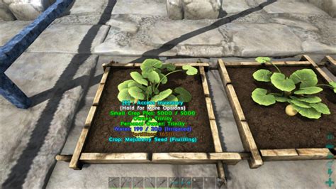 Mejoberries & Seeds - Ark: Survival Evolved