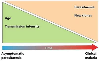 Frontiers | Understanding P. falciparum Asymptomatic Infections: A Proposition for a ...