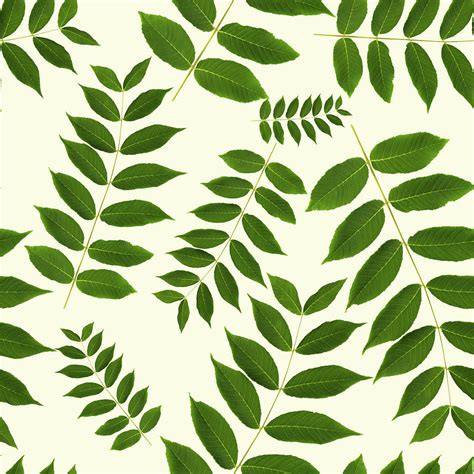 Botanical Leaf Pattern Mixed Media by Christina Rollo - Pixels