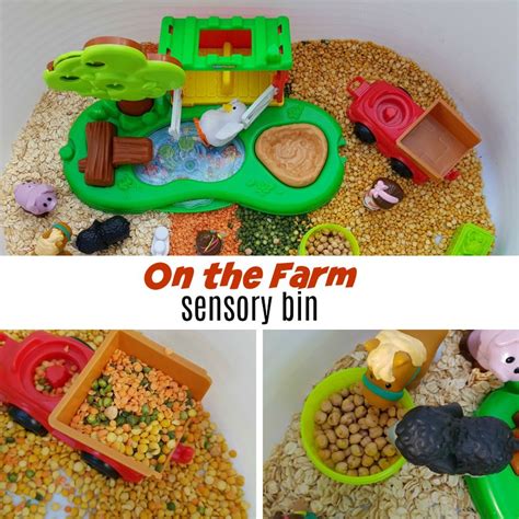 Farm Sensory Bin - Fun with Mama