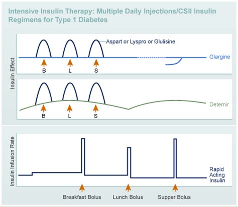 Designing an Insulin Regimen - Diabetes Education Online