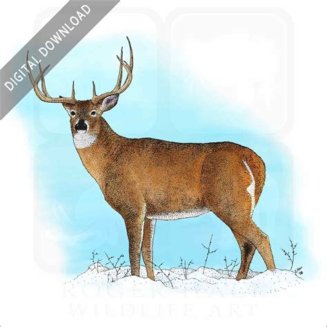 Aggregate more than 160 easy simple deer drawing latest - seven.edu.vn