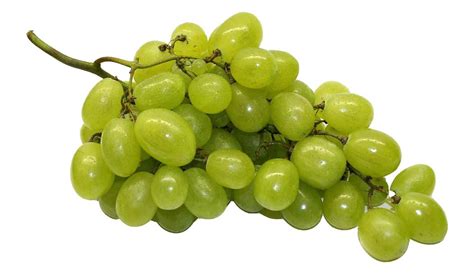 green grapes - open fotos | free open source photos, public domain photos and pictures