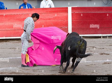 Mexico.Aguascalientes.Plaza Monumental bullring Aguascalientes ...