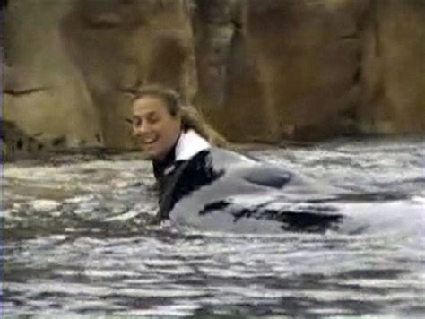 Trainer's family wants SeaWorld death video sealed - The San Diego Union-Tribune