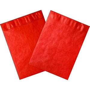 10 x 13" Red Tyvek? Envelopes - 100 PER CASE-w.2-TYC1013R