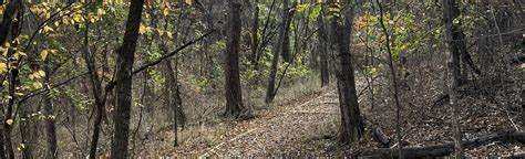 Hoot Owl Trail | Map, Guide - Texas | AllTrails