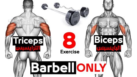 Triceps Barbell Exercises | atelier-yuwa.ciao.jp