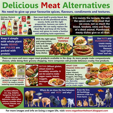 Vegan Heart to Heart: Delicious Meat Alternatives