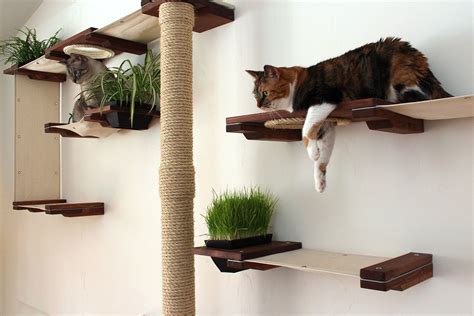 The Gardens Cat Condo ⋆ Catastrophic Creations | Katzen kletterwand, Hängematte für katzen ...