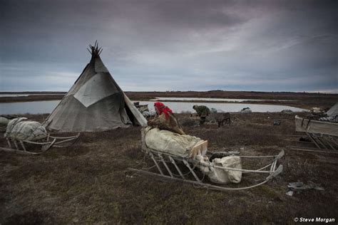 Nenets People - Siberian Tundra