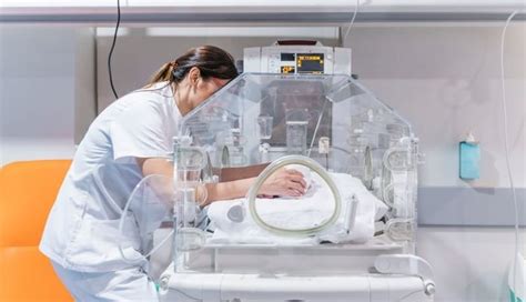 Phthalate Chemicals Tied to Costly Preterm Births in the United States - Drugs.com MedNews