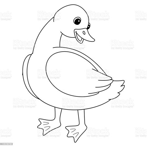 Spring Mother Duck Isolated Coloring Page For Kids Stock Illustration ...