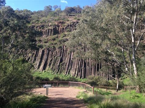 Organ Pipes NP, VIC - ClimateWatch Australia- Citizen Science App