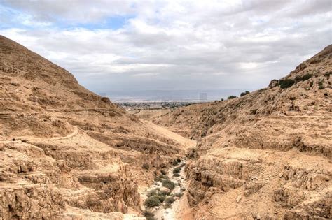 hiking in judean stone desert | Stock image | Colourbox