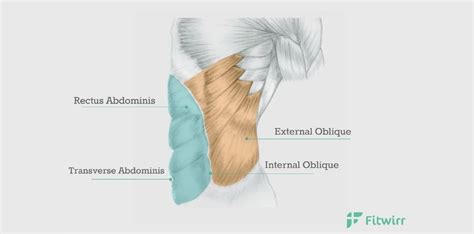 How To Do Oblique Crunches: Steps, Benefits, and Variations