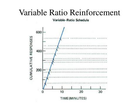 PPT - Reinforcement Schedules PowerPoint Presentation, free download - ID:747743