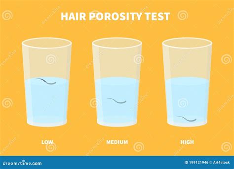 Hair Porosity Types Chart Of Low, Normal, High Porous Strand Vector Illustration | CartoonDealer ...