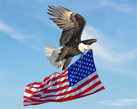 Eagle flying American Flag by xybutterfly on DeviantArt