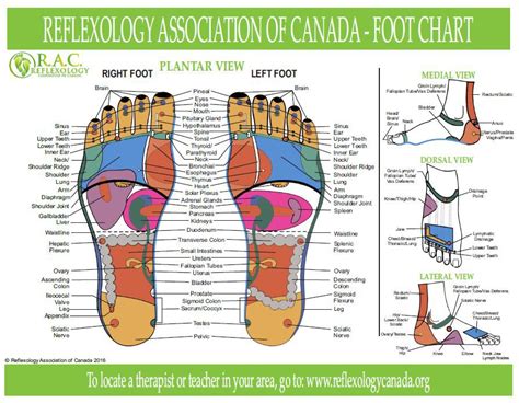 Reflexology Benefits: Stress, Fatigue, Pain, Anxiety