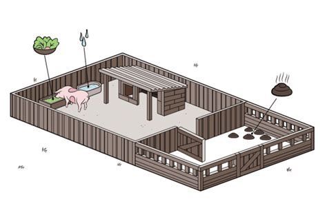 How to Set up a Pig Pen | Pig pen, Pig farming, Pig shelter