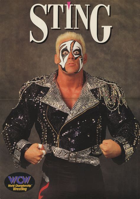 Wcw Sting 1995