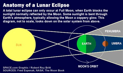 Moon Phases