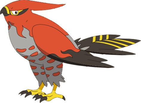 Talonflame by Pokemonsketchartist on DeviantArt