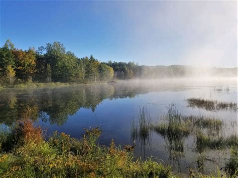 How to follow fall color across Michigan’s million-acre Huron-Manistee National Forests - mlive.com