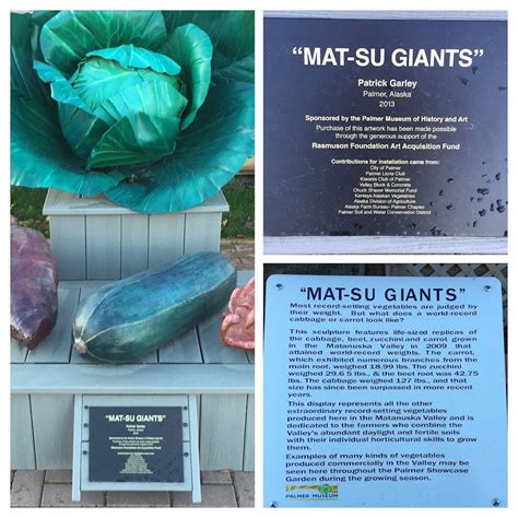 Read the Plaque - Mat-su Giants