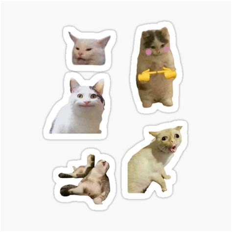 "Cat meme pack 2" Sticker for Sale by SkortStickers | Redbubble