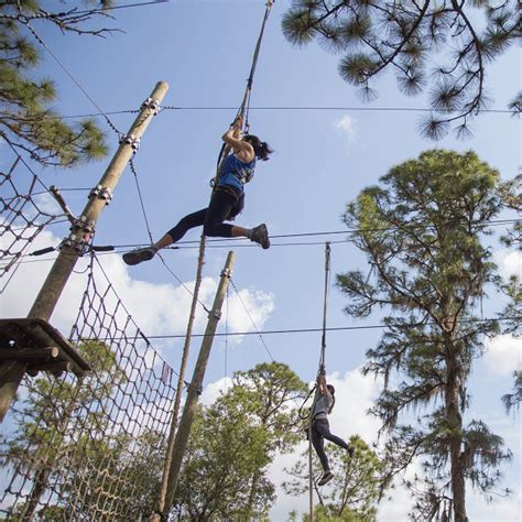 TreeUmph! Adventure Course: High-Flying Fun in Bradenton