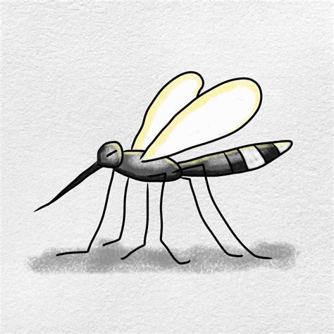 How to Draw a Mosquito - HelloArtsy