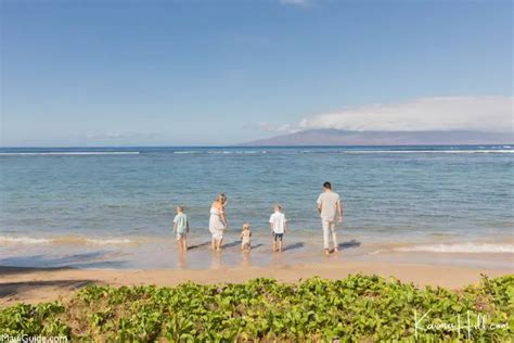 Baby Beach Review - Lahaina Maui Beaches - Maui Guide