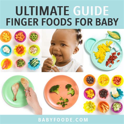 The Ultimate Guide to Finger Foods (Great for 9+ Months) - Baby Foode