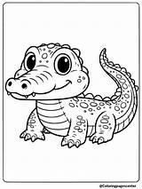 30 Crocodile Coloring Pages  Free Printable pages sketch template