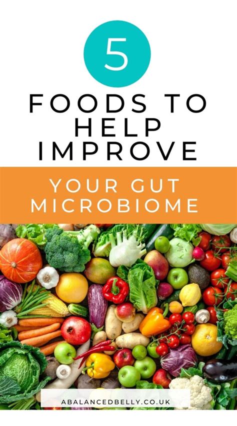 5 foods that can help improve your gut microbiome — A Balanced Belly