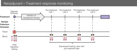 Recommended sampling frequency for the Signatera test