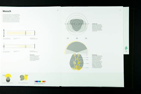 The Evolution of Vision on Behance